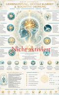 Gehirnleistung, mentale Klarheit & kognitive Ordnung