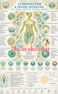 Lymphsystem & innere Reinigung