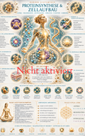 PROTEINSYNTHESE & ZELLAUFBAU