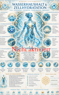 Wasserhaushalt & Zellhydratation